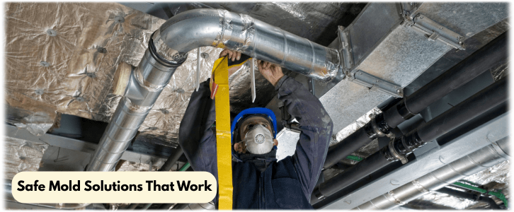 Air Duct Mold Removal in Rockwall TX