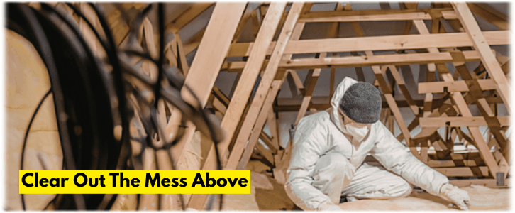 Attic Cleaning Rockwall TX
