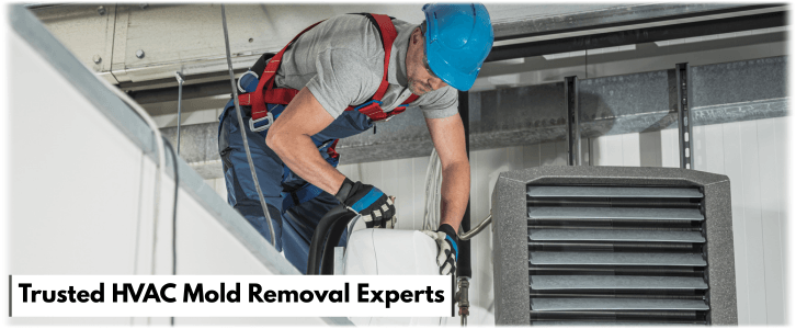 HVAC Mold Removal Rockwall TX